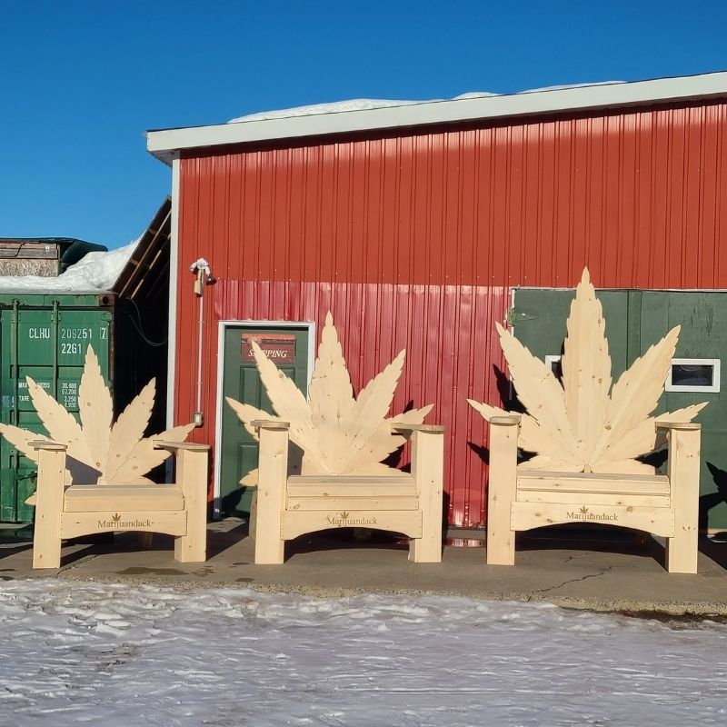 Three Marijuandack Giant in front of a red building.