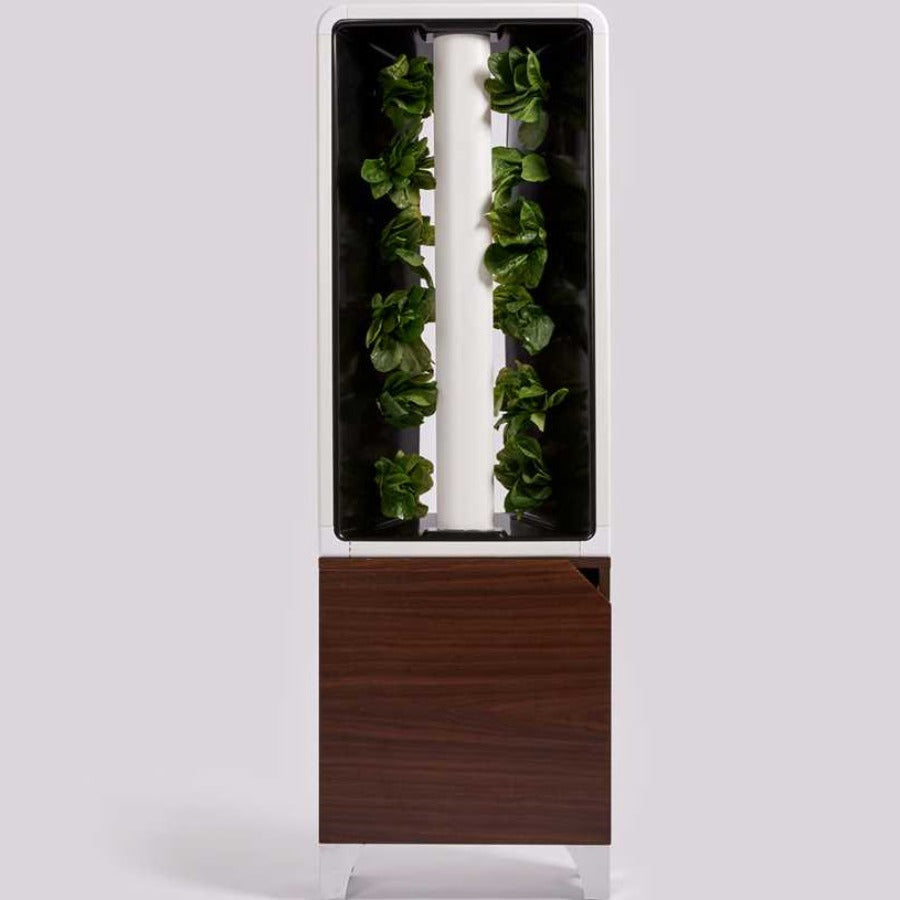 Home Indoor Vertical Garden