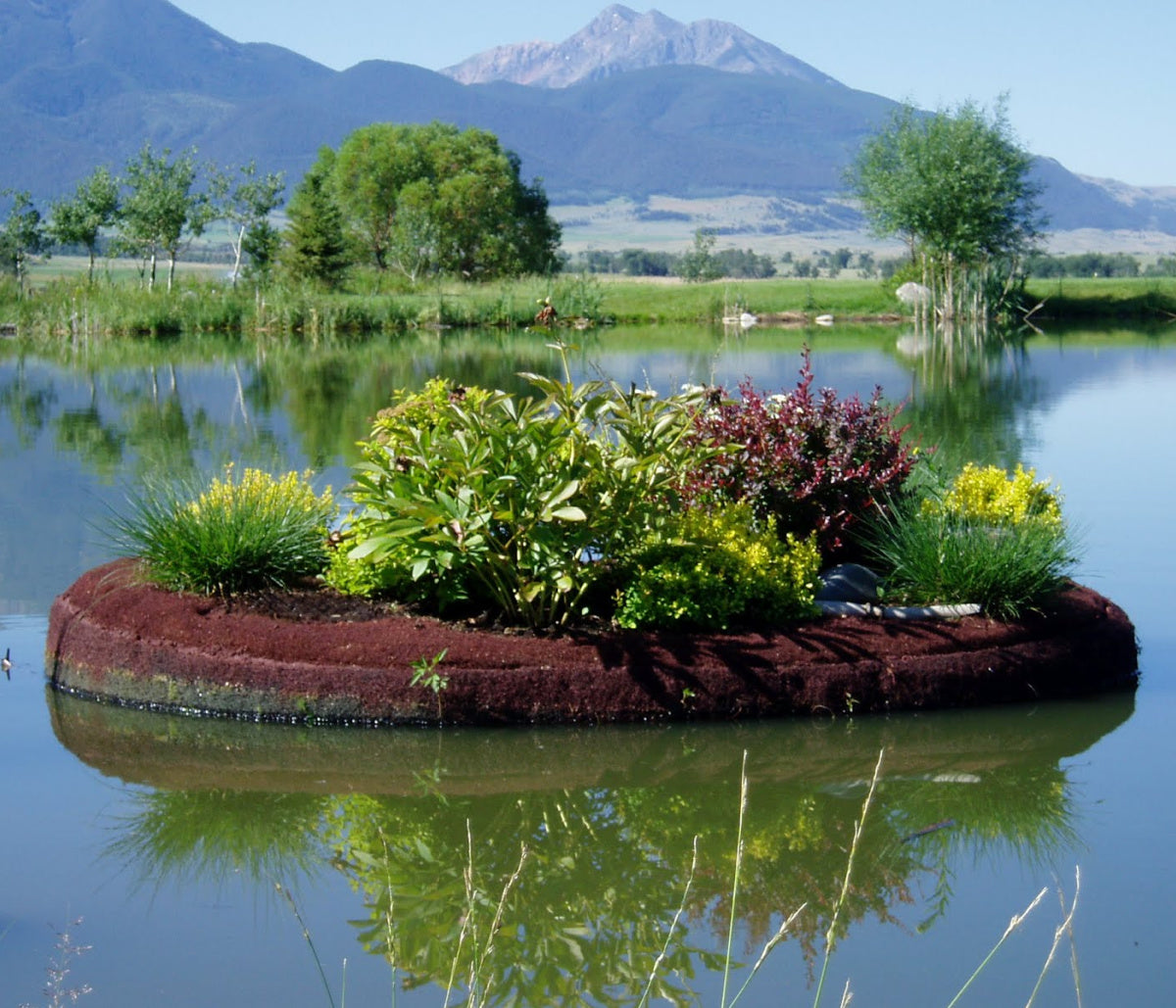 Floating Flower Island in Pond