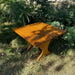 24" Square Side Table in a natural outdoor setting with greenery - knotted cedar - golden glossy
