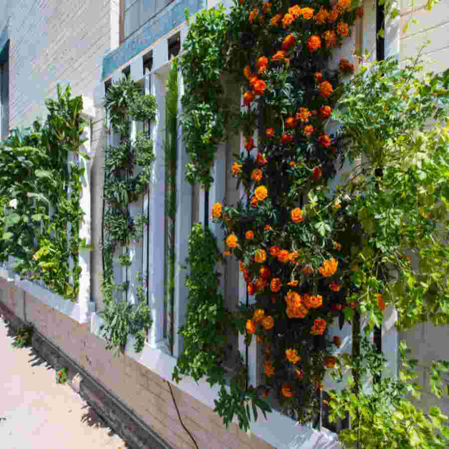 Vertical garden with green plants and orange flowers on a building wall.