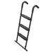 Clean view ladder