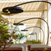 Patio with hanging lights and greenery