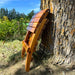 Camp Chair against a tree in an outdoor setting