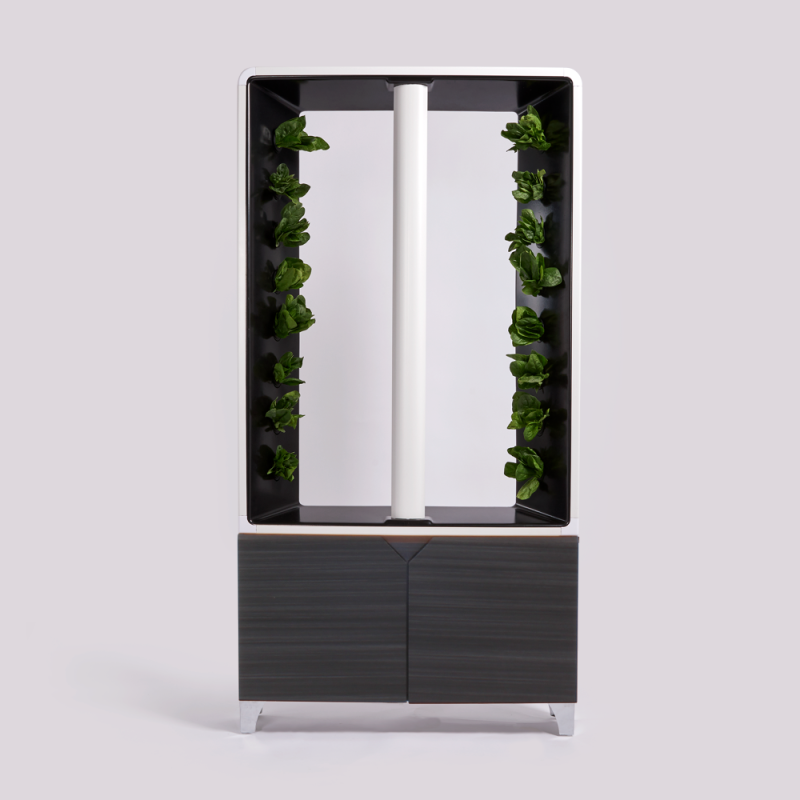AEVA Ebony Gray Cabinet