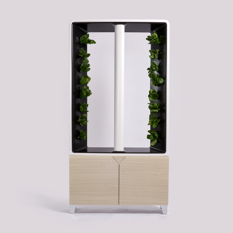 AEVA Millwood Oak