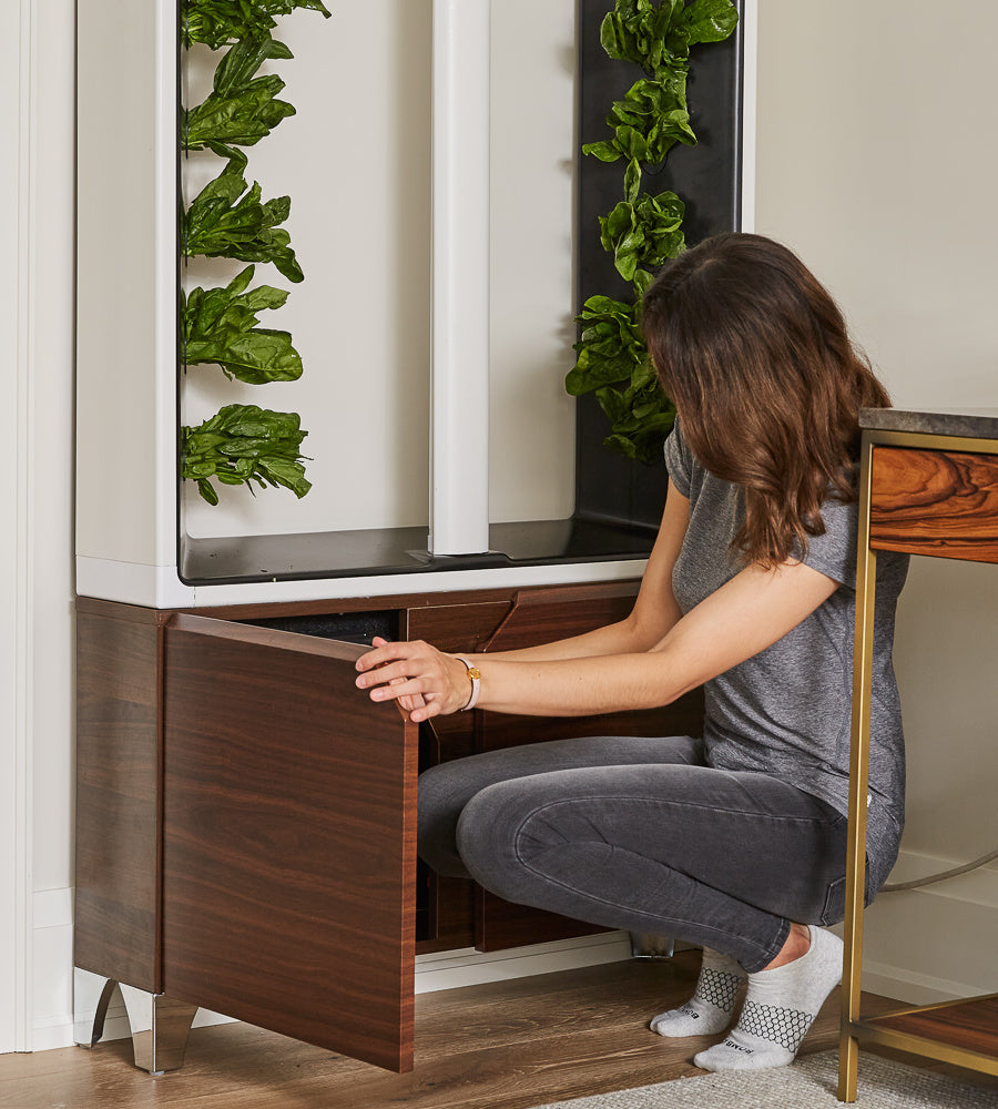 AEVA Lifestyle 1