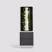 EVE Ebony Gray Cabinet