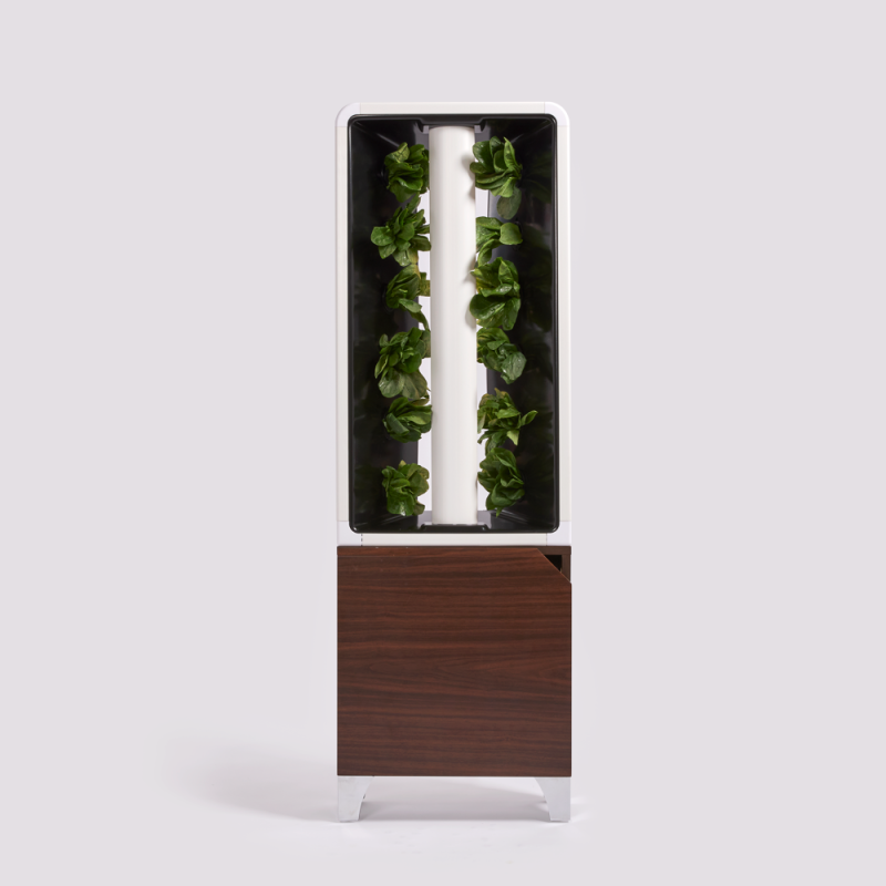 EVE Walnut Cabinet